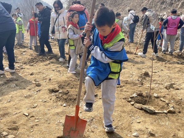 济南经五路小学植树活动